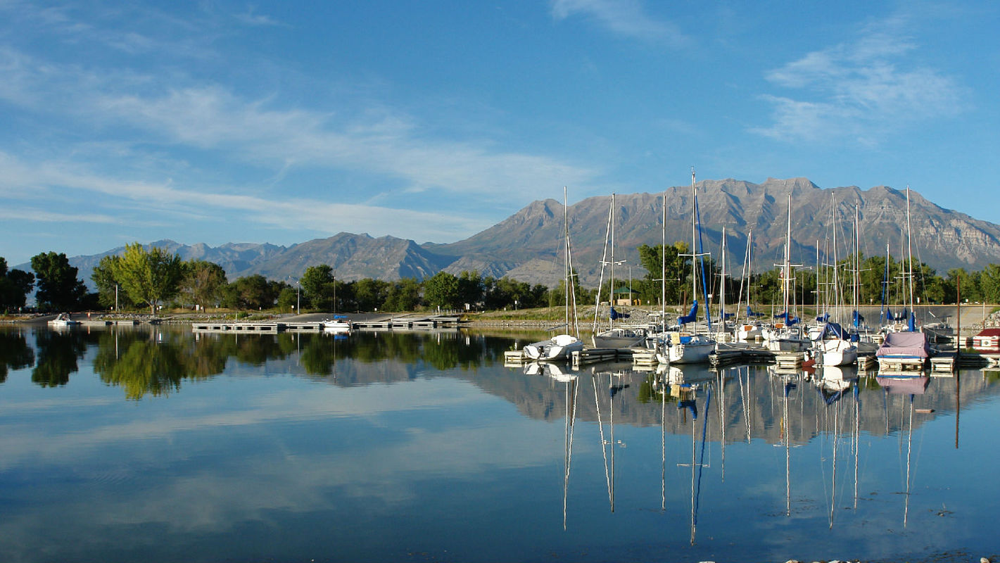 ���人���顷���������ϡ����ݶ����κ���+������ɽ��+������ͷ� ��ӣ��+�黨�� ���� ˫��������